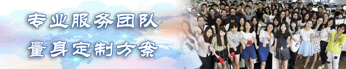 西双BI软件